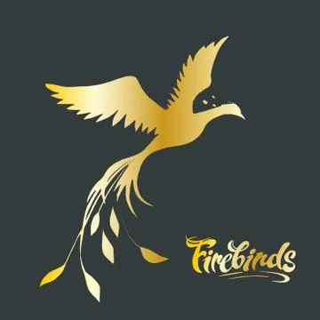 Vector image of a golden silhouette of a phoenix on a dark background and the Stock Illustration