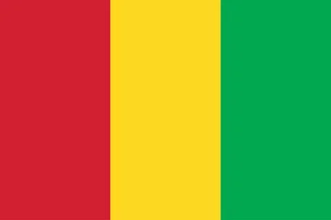 Vector Image of Guinea Flag Stock Illustration