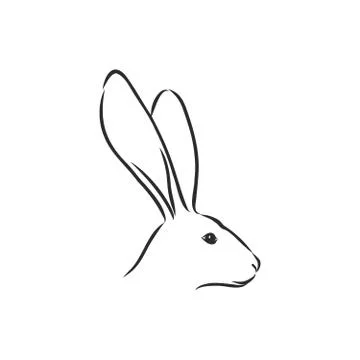 Vector image of hare silhouette, hare vector sketch illustration Stock Illustration