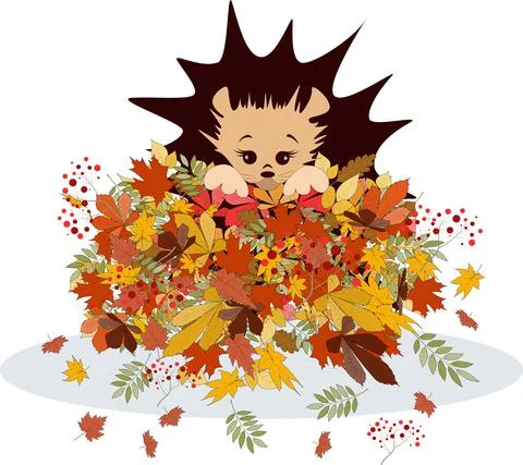Vector image of a hedgehog in a pile of autumn foliage. From a series of illu Stock Illustration