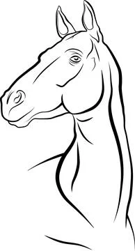 Vector image of a horse head, graceful portrait of a horse with black outline Stock Illustration