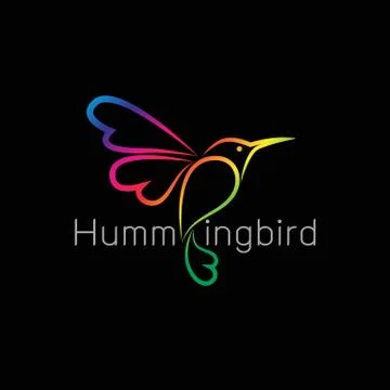 Vector image of an hummingbird design on black background 스톡 일러스트