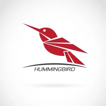 Vector image of an hummingbird design on white background Stock Illustration
