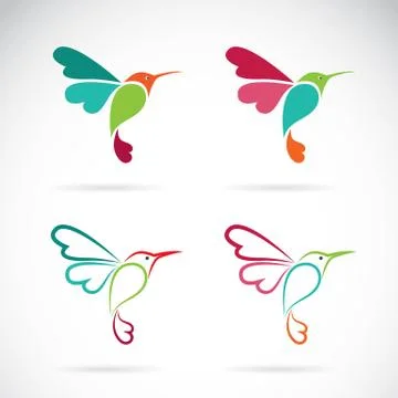 Vector image of an hummingbird design on white background, Logo, Symbol 스톡 일러스트