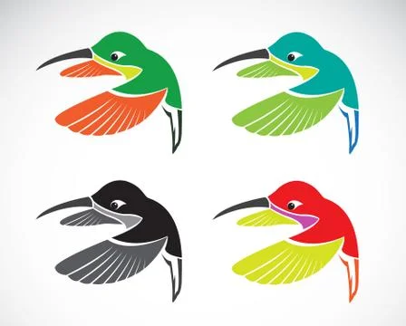 Vector image of an hummingbird on white background 스톡 일러스트