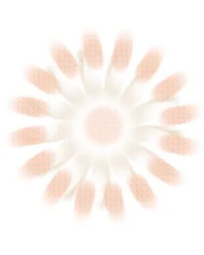 Vector image Stock Illustration