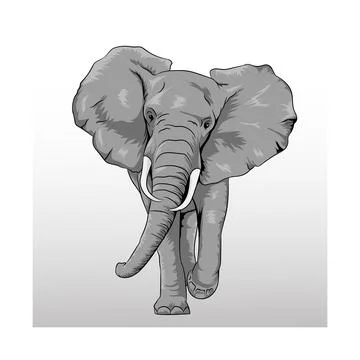Vector Image Of Indian Elephant Ilustración de archivo