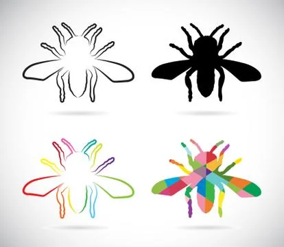 Vector image of an insects Stock Illustration