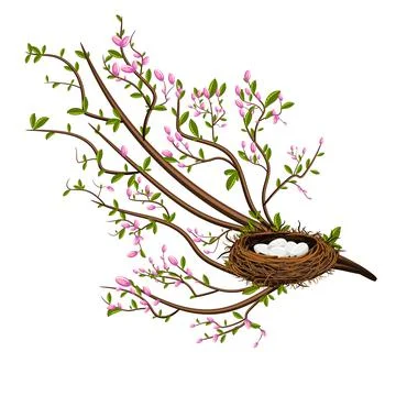 Vector image isolated on white background. A bird's nest in the branches of a Stock Illustration
