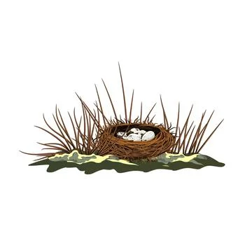 Vector image isolated on white background. A bird's nest in the branches of a Stock Illustration