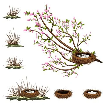Vector image isolated on white background. A bird's nest in the branches of a Stock Illustration