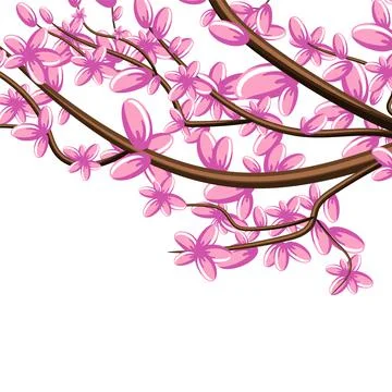 Vector image isolated on white background. Branch in pink flowers. Sakura. Co Stock Illustration