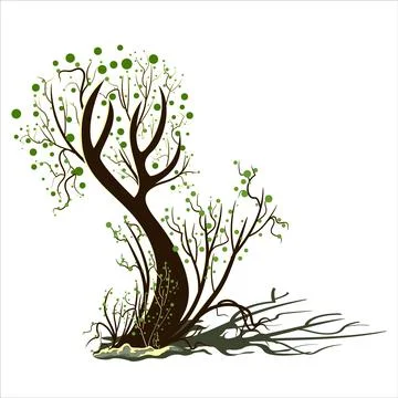 Vector image isolated on white background. Tree branch. Rostock. Tree.Concept Stock Illustration