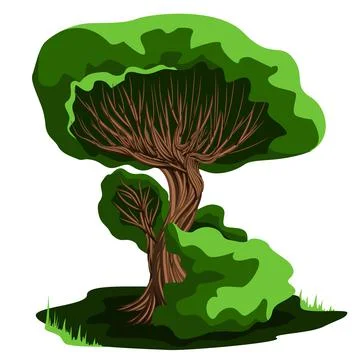 Vector image isolated on white background. a mighty tree with a fluffy crown. Stock Illustration