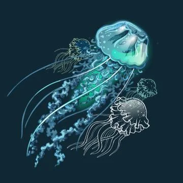 Vector image of jellyfish on a dark background. Stock Illustration