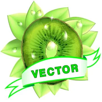 Vector image, kiwi with leaves, drops  and ribbon on white background Stock Illustration