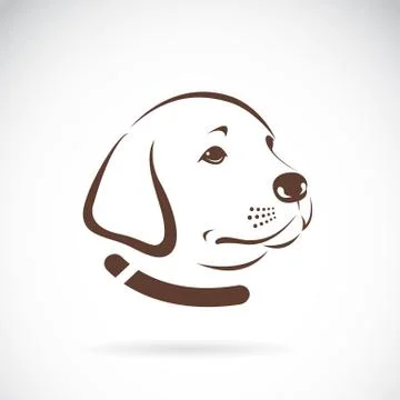 Vector image of an Labrador dog's head on white background Stock Illustration