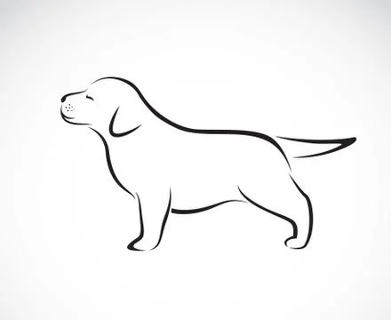 Vector image of labrador puppies Stock Illustration