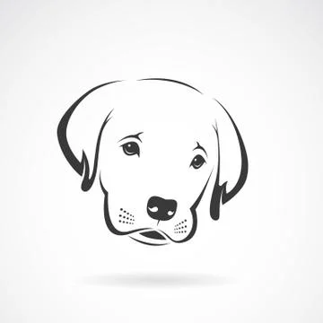 Vector image of an labrador puppy face on white background. Dog Stock Illustration