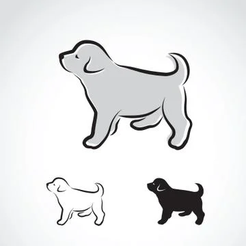 Vector image of an labrador puppy on white background Stock Illustration