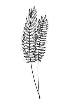 Vector image of leaves, twigs on a white background. Decoration for cards a.. Stock Illustration