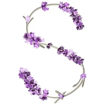 Vector image of the letter S of the English alphabet in the form of lavender Stock Illustration