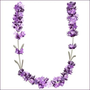 Vector image of the letter U of the English alphabet in the form of lavender  Stock Illustration