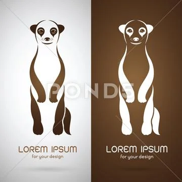 Vector image of an meerkats design on white background and brown background, Stock Illustration