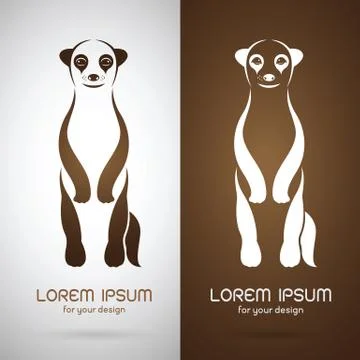 Vector image of an meerkats design on white background and brown background,  Stock Illustration