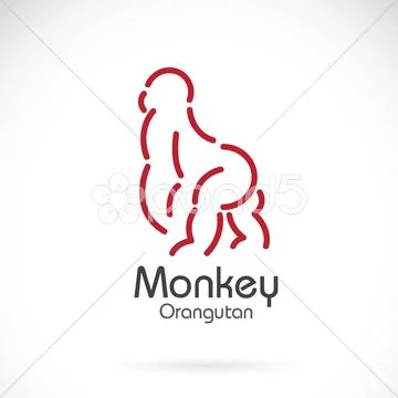 Vector image of monkey orangutan design on white background Stock Illustration