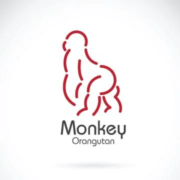 Vector image of monkey orangutan design on white background Stock Illustration