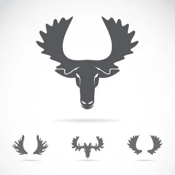 Vector image of an moose head on a white background Stock Illustration