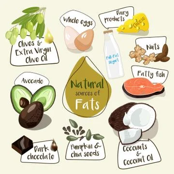 Vector image of natural sources of good fat for balanced diet and healthy lif Stock Illustration