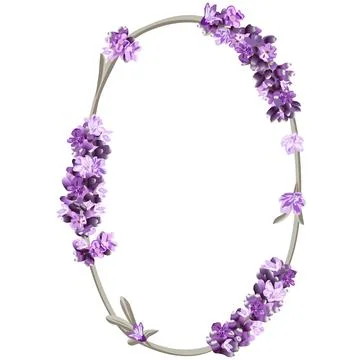 Vector image of the number 0 in the form of lavender sprigs in bright purple  Stock Illustration