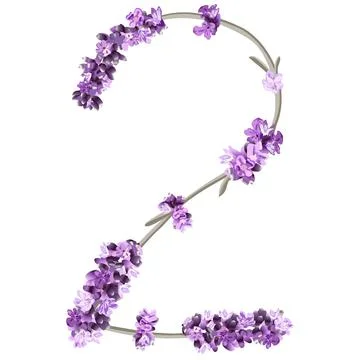 Vector image of the number 2 in the form of lavender sprigs in bright purple Stock Illustration