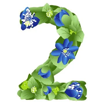 Vector image of the number 2 in the form of flowers and leaves of liverwort Stock Illustration