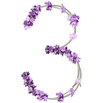 Vector image of the number 3 in the form of lavender sprigs in bright purple Stock Illustration