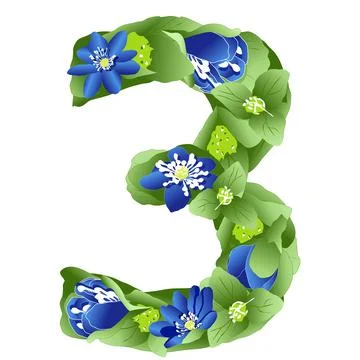 Vector image of the number 3 in the form of flowers and leaves of liverwort Stock Illustration