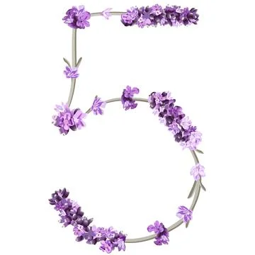 Vector image of the number 5 in the form of lavender sprigs in bright purple  Stock Illustration