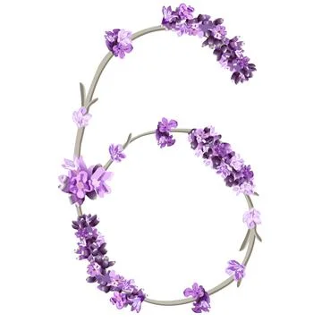 Vector image of the number 6 in the form of lavender sprigs in bright purple  Stock Illustration