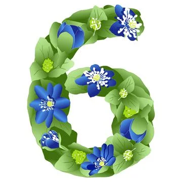 Vector image of the number 6 in the form of flowers and leaves of liverwort Stock Illustration