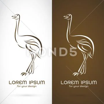 Vector image of a ostrich design on white background and brown background Stock Illustration