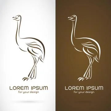 Vector image of a ostrich design on white background and brown background Stock Illustration