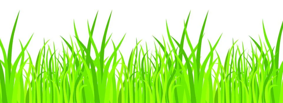 Vector image of paddy field. Stock Illustration
