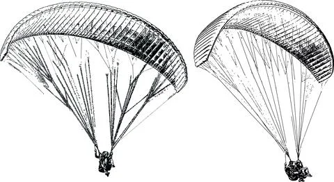 Vector image of parachutists soaring on paragliders Illustration