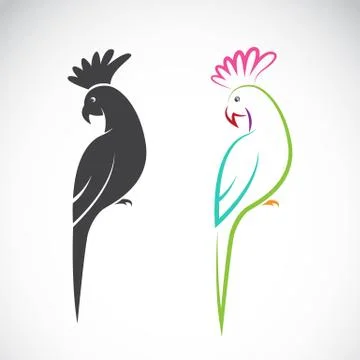 Vector image of a parrot design on white background. Stock Illustration