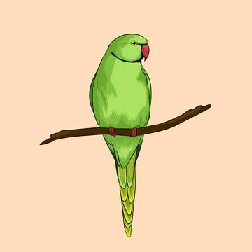 Vector Image Of Parrot Stock Illustration