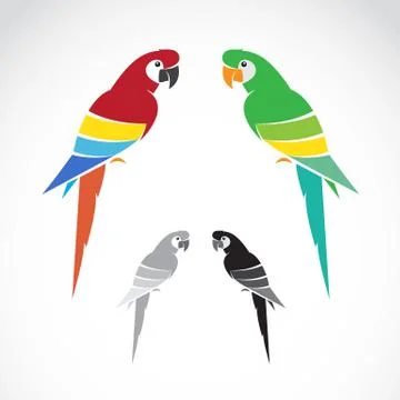 Vector image of a parrot on white background. Illustrazione stock