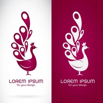 Vector image of an peacock design on white background and purple background,  Illustrazione stock