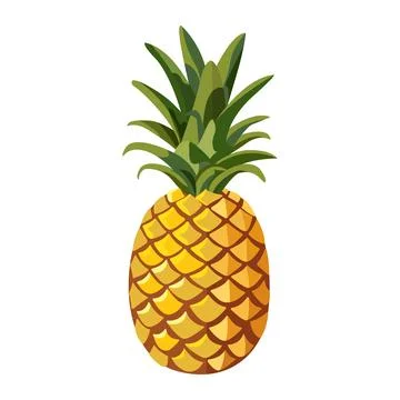 Vector image of pineapple Stock Illustration